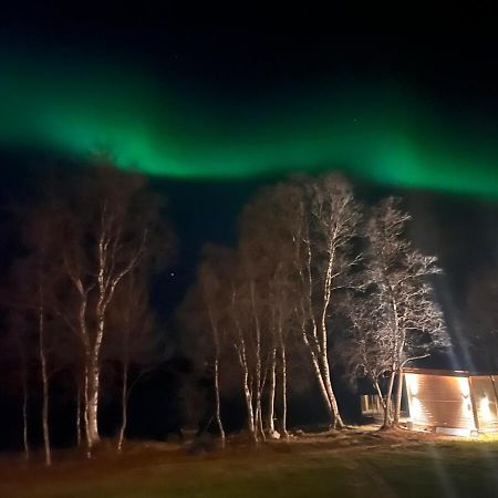 Cottage With Good Standard Next To Neiden River Eksteriør billede