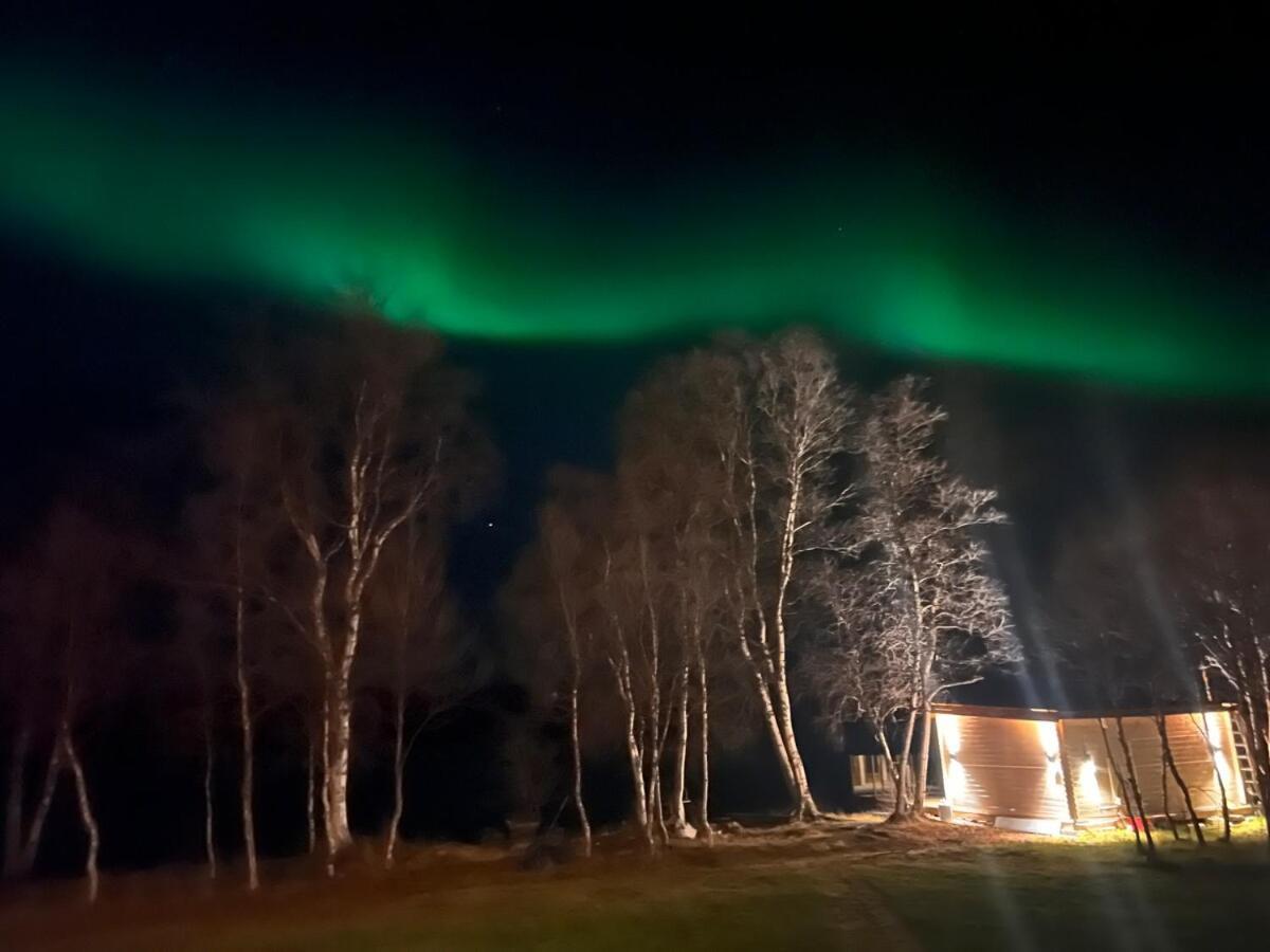 Cottage With Good Standard Next To Neiden River Eksteriør billede